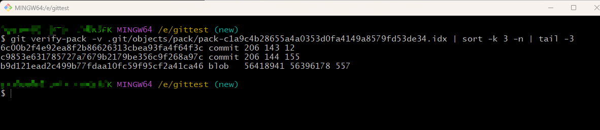 Git Bash终端界面